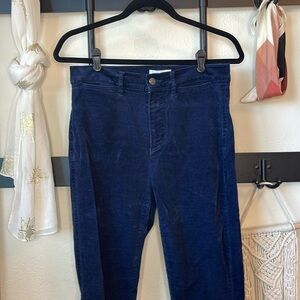 Dark blue velvet pants, loft